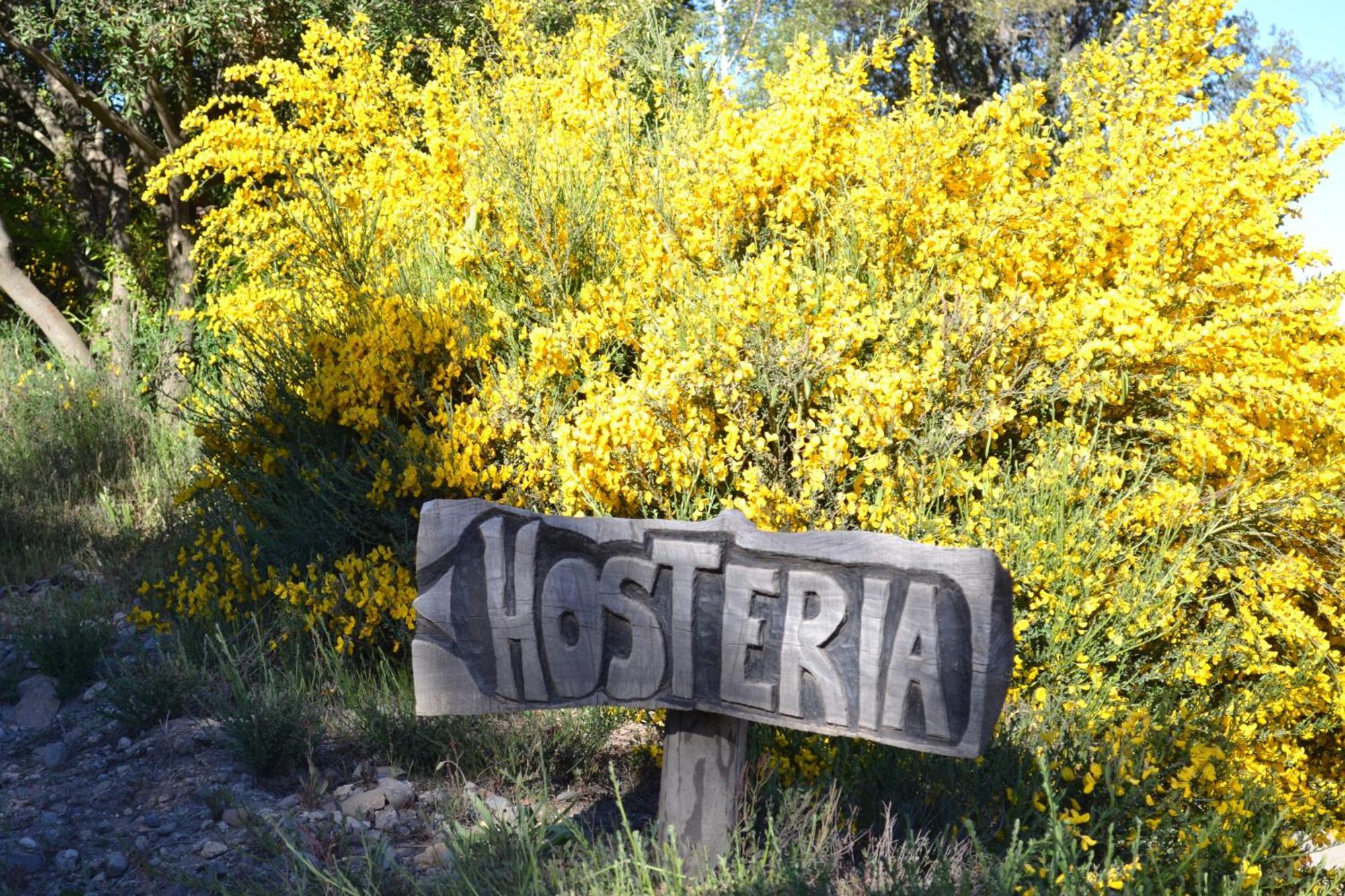 Sieteflores Hosteria De Montana San Martín de los Andes Εξωτερικό φωτογραφία